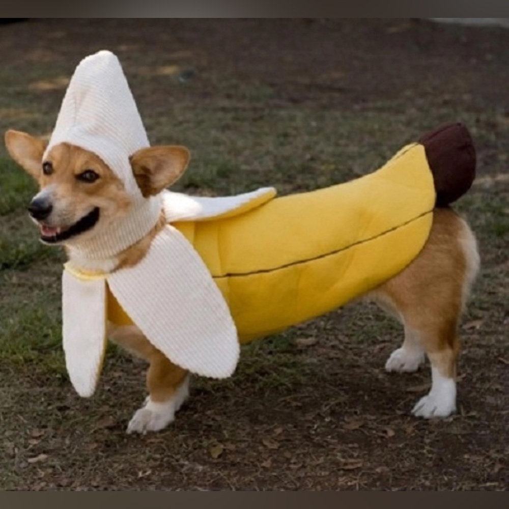 Pet Banana Costume for Halloween 🎃 USED